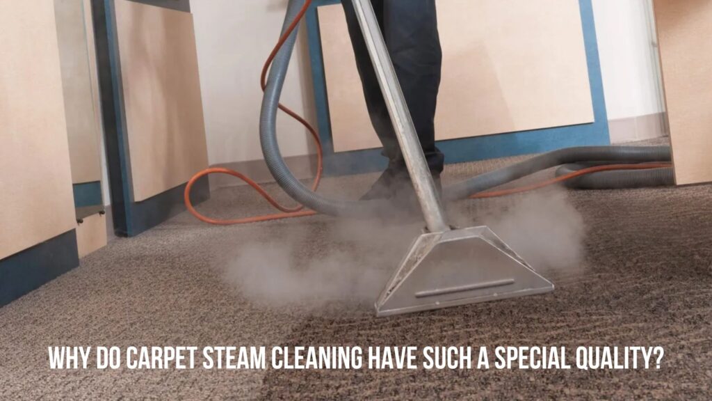 Why Do Carpet Steam Cleaning Have Such A Special Quality