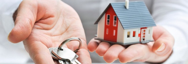 Best Rental Property Management in Christchurch